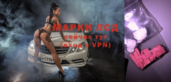 spice Аркадак
