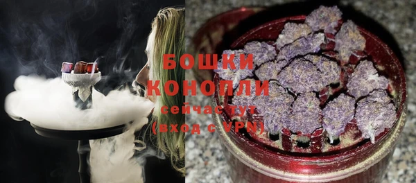 spice Аркадак