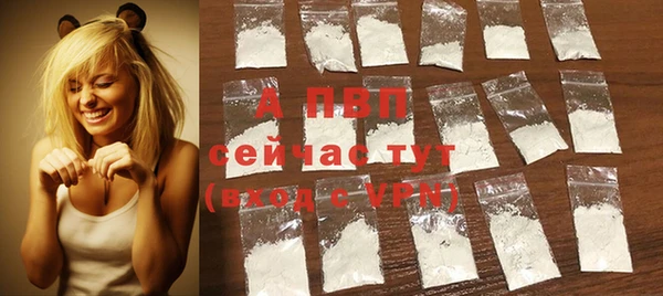 spice Аркадак