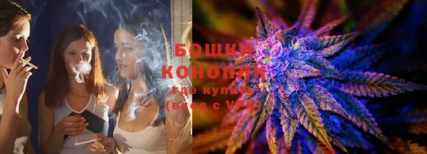 spice Аркадак