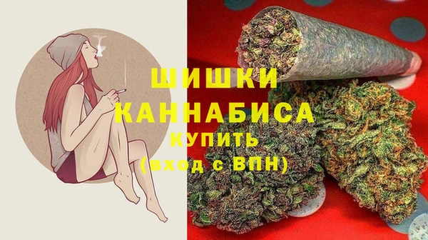 spice Аркадак