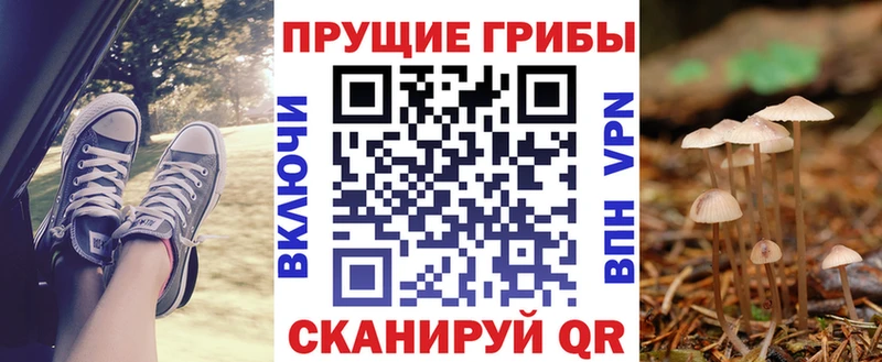 наркота  Канаш  blacksprut вход  Галлюциногенные грибы ЛСД 