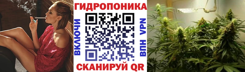 МАРИХУАНА семена  купить наркоту  Канаш 